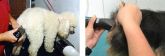 Tosa Higiênica Com Banho e Hidratação Raças P e M